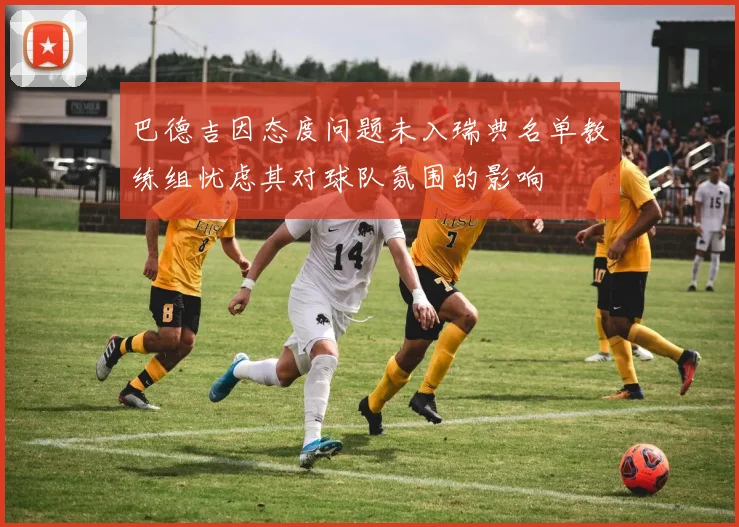巴德吉因态度问题未入瑞典名单教练组忧虑其对球队氛围的影响