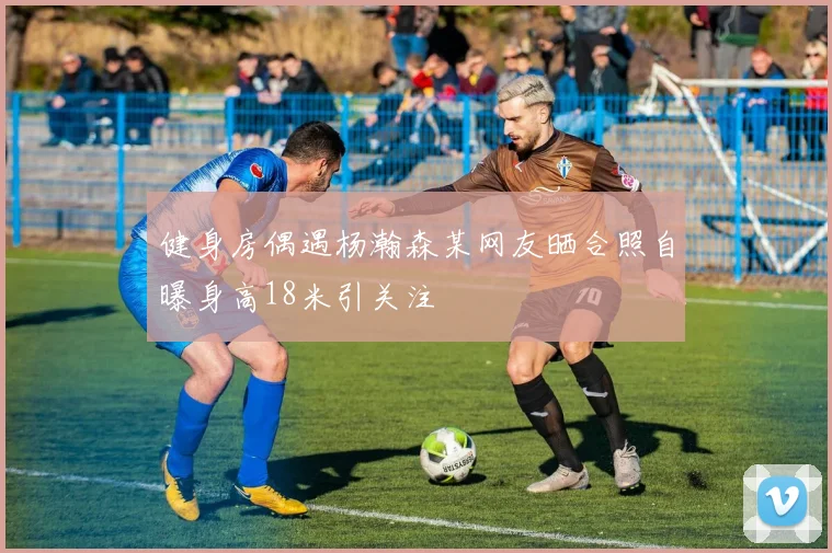健身房偶遇杨瀚森某网友晒合照自曝身高18米引关注